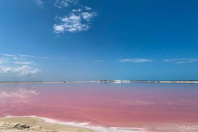 Safari in Rio Lagartos, Coloradas and Mayan Bath - Guides and Customer Service