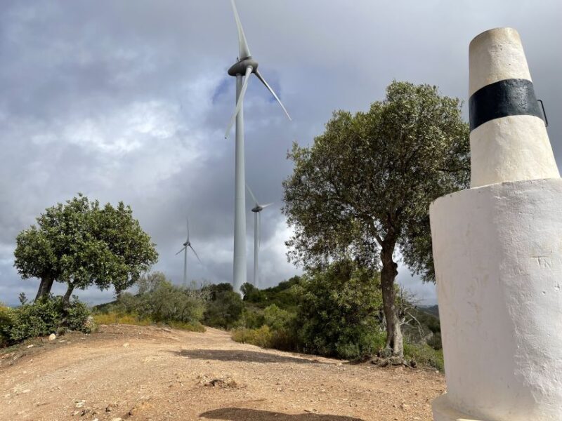 Safari & Kayaking - Analyzing the Value