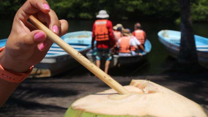 SAFARI THROUGH THE MANGROVES IN VENTANILLA OAXACA - Key Points