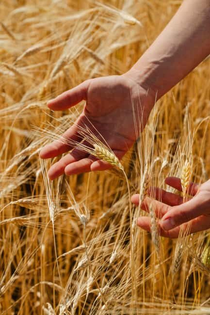 Safari Verde: nature, wildlife, and lunch in the woods - The Bottom Line