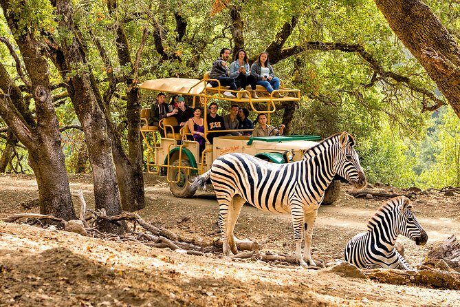 Safari West Sonoma Adventure Tour - What to Expect on the Safari West Sonoma Adventure Tour