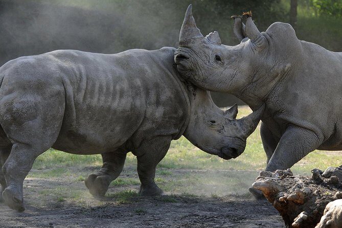 Safari West Sonoma Adventure Tour - Who Should Consider This Tour?