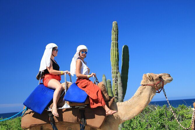 Safari with Camel Caravan to Explore Bajas Nature, Culture and Cuisine - The Reality: What the Reviews Say