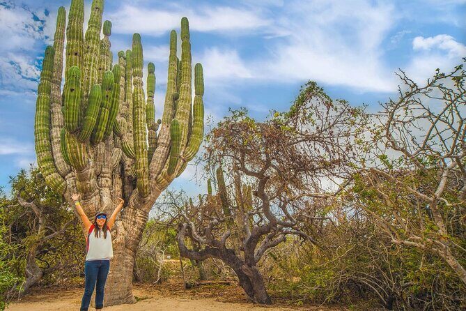Safari with Camel Caravan to Explore Bajas Nature, Culture and Cuisine - Practical Tips for Potential Participants