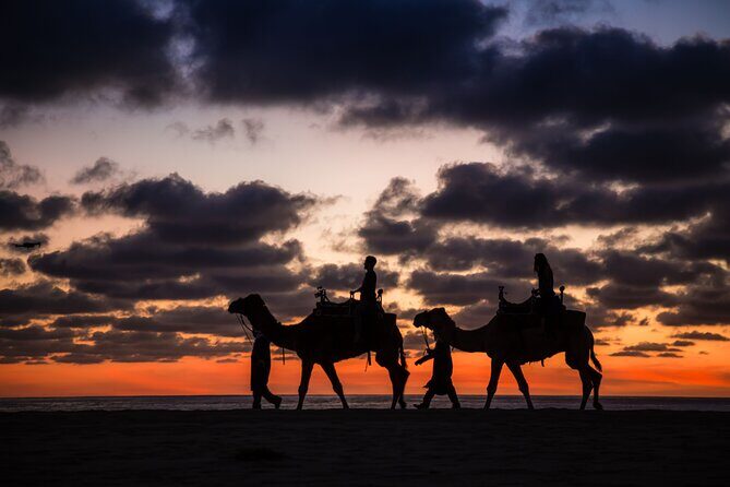 Safari with Camel Caravan to Explore Bajas Nature, Culture and Cuisine - Who Is This Tour Best For?