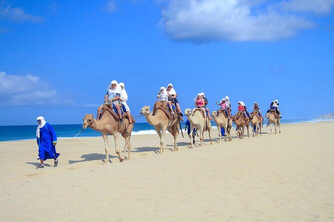 Safari with Camel Caravan to Explore Bajas Nature, Culture and Cuisine - The Sum Up