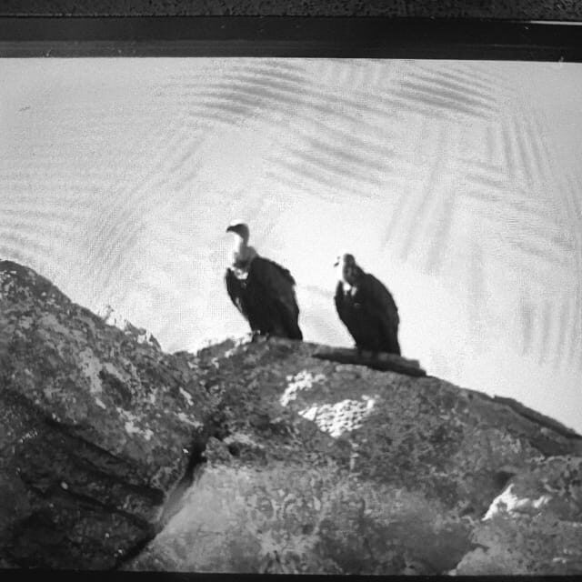 Safari:Lasithi plateau, Mythology park,olive oil tasting - The Experience and Group Dynamic