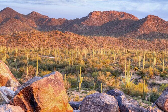 Saguaro National Park East E-Bike Tour - Key Points