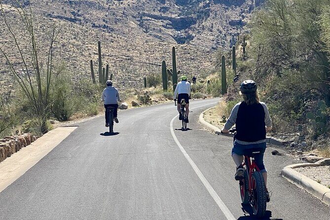 Saguaro National Park East E-Bike Tour - Why This Tour Stands Out