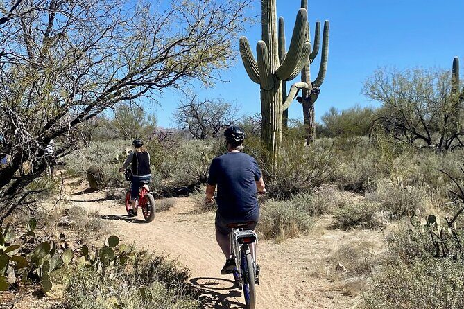 Saguaro National Park East E-Bike Tour - The Real Value of This Tour