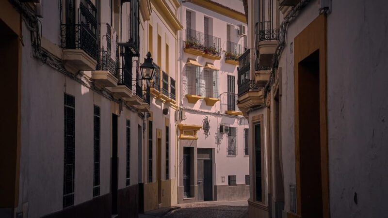 Sagunto - Private Historic Walking tour - The Practicalities
