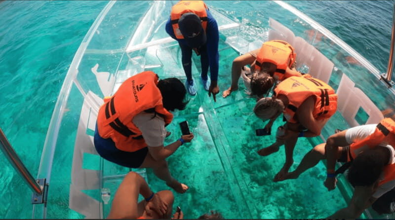 Sail around cancun in the best transparent boat + 2 drinks - The Practical Side: Cost, Duration, and Additional Info