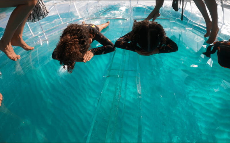 Sail around cancun in the best transparent boat + 2 drinks - Is This Tour Right for You?