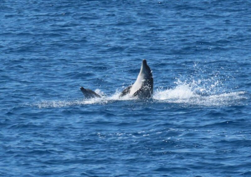 Sail Away in Kos: Unveil 3 Greek Isles Secrets! - What to Expect on the Yacht