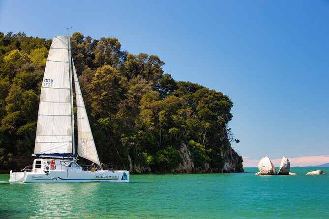 Sail, Seals, and Walk Tour in Abel Tasman - Sailing, Seals, and Walk Tour in Abel Tasman: A Friendly Review