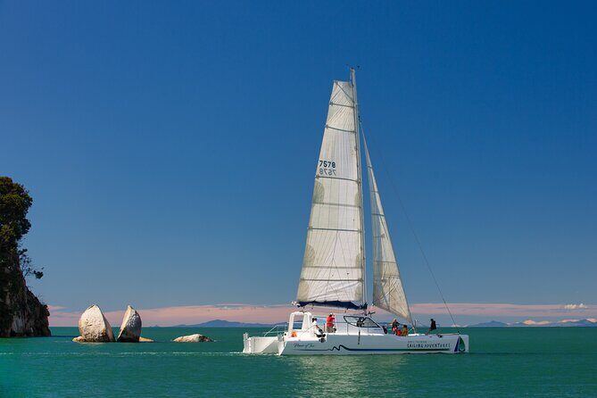 Sail, Seals, and Walk Tour in Abel Tasman - Final Thoughts
