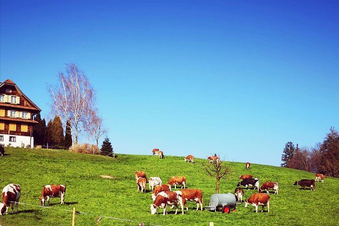 Sail to Basel and then explore either Bern, Luzern, Zurich or the Swiss Alps. - FAQ