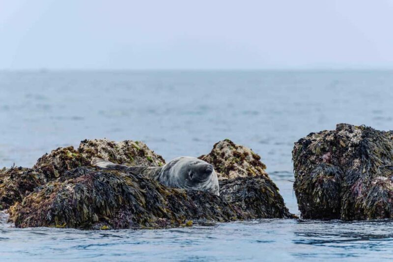 Sail to the heart of the bay. - Who Is This Tour Best For?