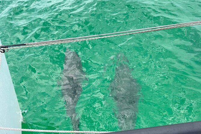 Sailing Adventures 3-Hour Activity in Destin - Final Thoughts: Is It Worth It?