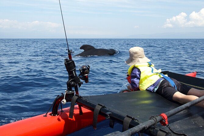 Sailing Alaska's Inside Passage 4 Day Private Tour - The Experience: What Travelers Would Love