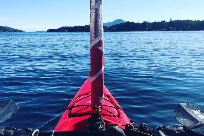 Sailing Alaska's Inside Passage 4 Day Private Tour - Who Should Consider This Tour?