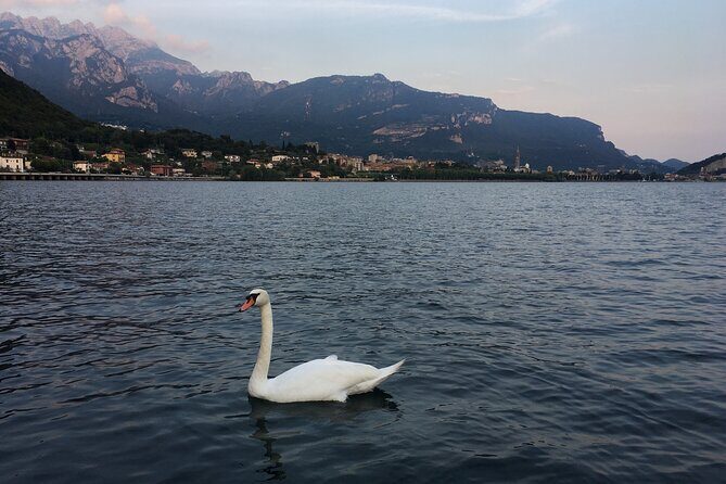 Sailing at Sunset on Lake Como: How to escape from daily routine - Who Is This Experience Best For?