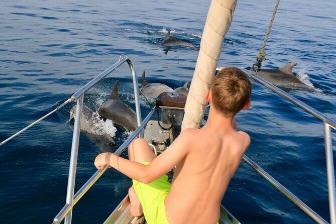 Sailing Boat-always private-always by sail-search for dolphins - What to Expect from Your Sailing Adventure in Estepona