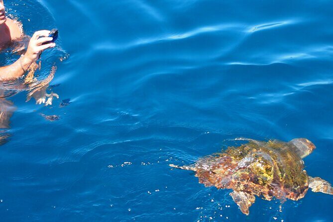 Sailing Boat-always private-always by sail-search for dolphins - Frequently Asked Questions