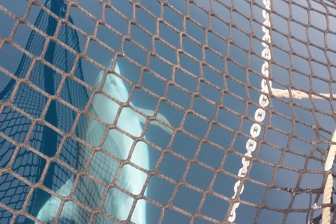 Sailing day trip on Tall Ship Andrea Jensen with Lunch and Wine - Coral Riviera sailing: the scenery angle that makes this worth it