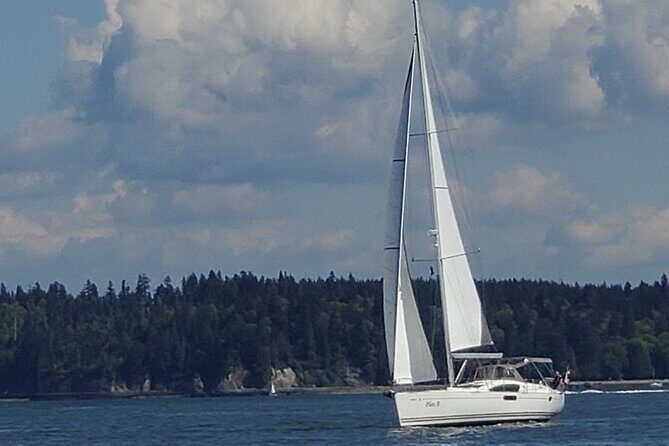 Sailing Experience on a 50 sailboat - The Experience: What You Can Expect