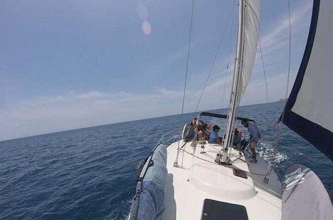 Sailing Snorkel Adventure - The Sum Up