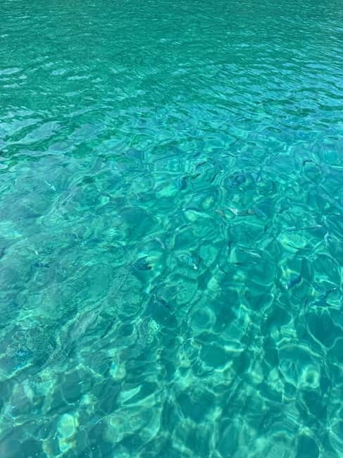 Sailing the Cilento coast: adventure, and serenity - FAQs