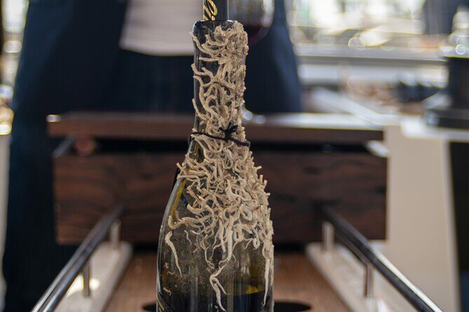 Sailing Tour and Tasting of Submarine wines on board - The Real Experience: What You Can Expect