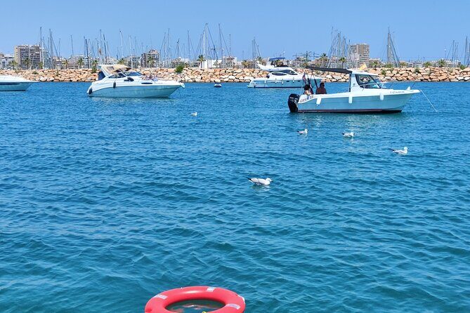 Sailing with sunset and swimming in the sea - The Crew and Service