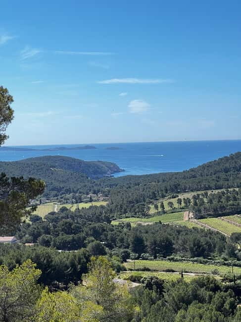 Saint-Cyr-sur-Mer: guided hike to the sand dune - A Closer Look at the Experience