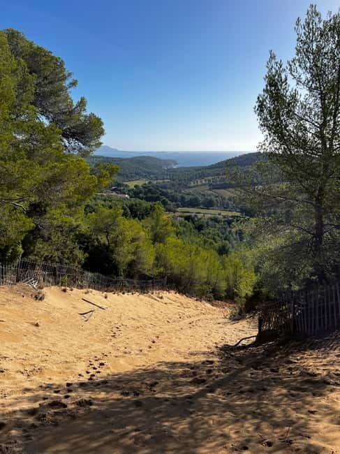 Saint-Cyr-sur-Mer: guided hike to the sand dune - Whats The Buzz From Other Travelers?