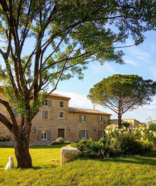 Saint-Didier: visit a vineyard & taste organic wines - Who Should Consider This Tour?