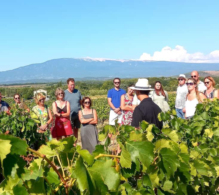 Saint-Didier: visit a vineyard & taste organic wines - FAQ