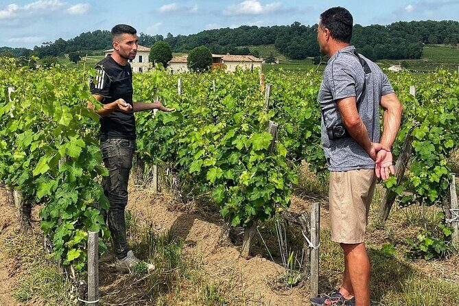 Saint-Émilion: 2 hours - Visit of the vineyard, the cellar and tasting - Exploring the Saint-Émilion Vineyard Tour: A Down-to-Earth Review
