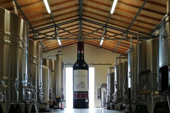 Saint-Émilion: 2 hours - Visit of the vineyard, the cellar and tasting - A Closer Look at the Tour Experience