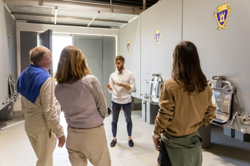 Saint-Émilion: Bordeaux Vineyard Tour and Wine Tasting - Key Points