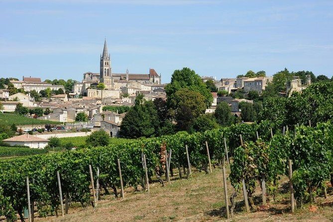 Saint-Émilion day tour: village visit, Châteaux and lunch - Lunch in the Vineyards