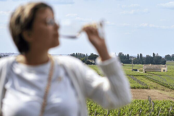 Saint-Émilion day tour: village visit, Châteaux and lunch - The Experience in Practice