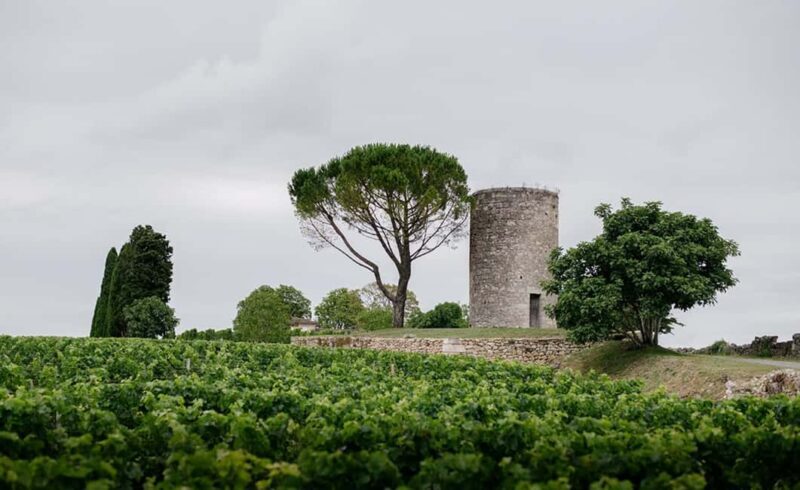 Saint-Emilion: E-Bike Rental - Final Thoughts