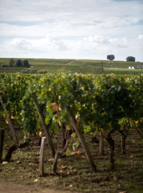 Saint-Emilion: E-Bike Rental - Frequently Asked Questions