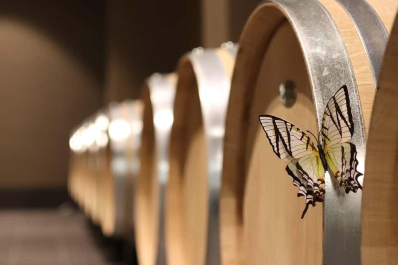 Saint Emilion: Family tour of the Maison Cardinale and tasting of three wines - An In-Depth Look at the Tour Experience