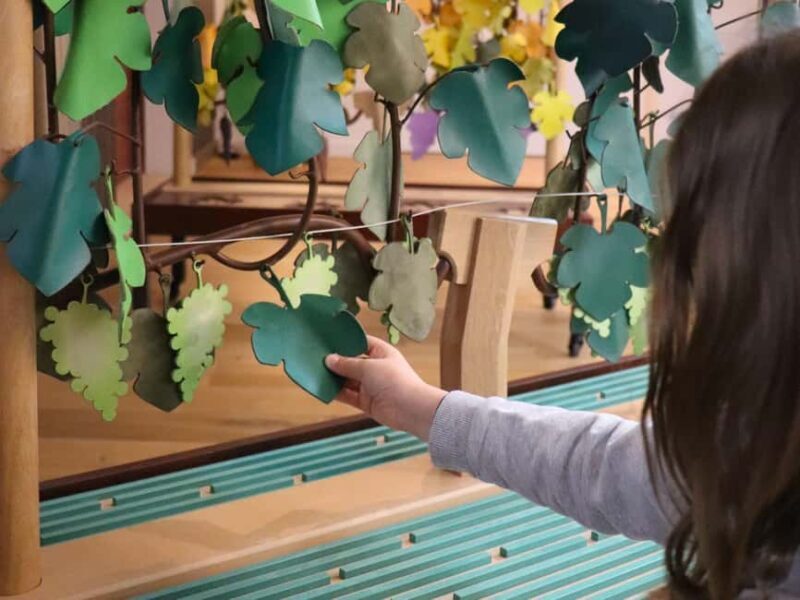 Saint Emilion: Family tour of the Maison Cardinale and tasting of three wines - Wrapping Up: Is This the Right Experience for You?