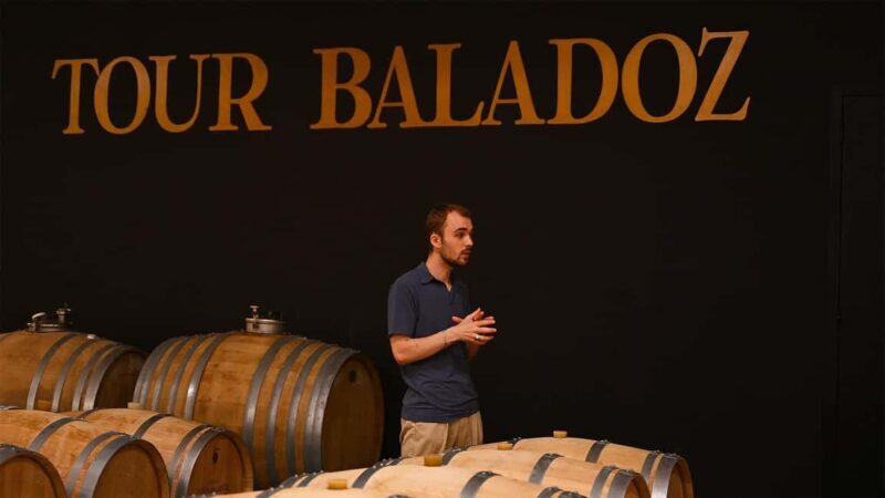 Saint-Emilion: Grand Cru Classé Cheese & Charcuterie Visit - Introduction: Why This Tour Might Be a Good Fit