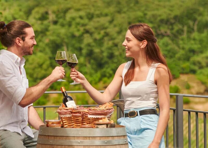 Saint-Emilion: Grand Cru Classé Guided Winery Visit & Picnic - Key Points