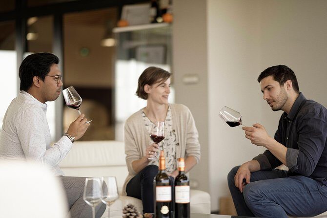 Saint-Emilion Grand Cru Classé: Visit & Tasting in English - A Closer Look at the Saint-Emilion Grand Cru Classé Experience